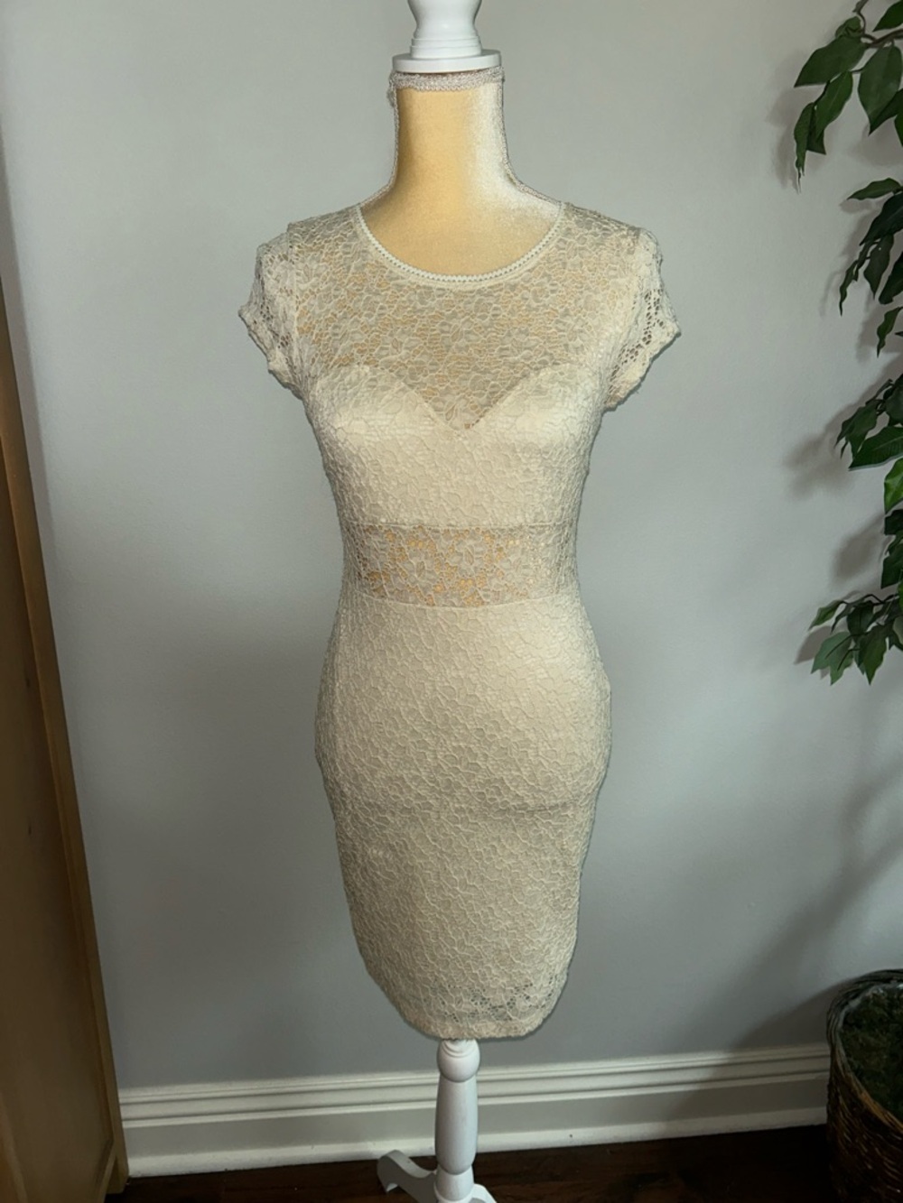 NEW Malloy Lace Bodycon Dress in Cream - Elegant Short Sleeve szM Boho Chic